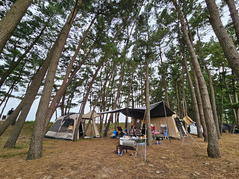 마검포 아름뜰 캠핑장 피칭1