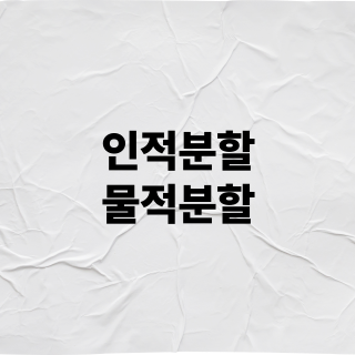 인적분할 물적분할