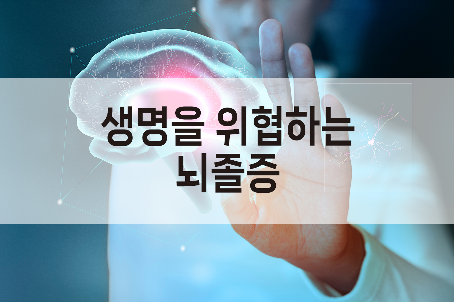 뇌즐증 예방관리방법