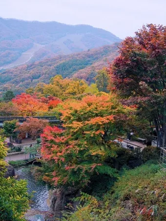 가을 단풍여행 베스트 명소 시니어 추천 코스 완벽 가이드_7