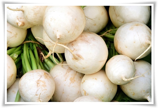 "김장 무, 직접 길러보세요!" 초보자도 성공할 수 있는 쉬운 재배 가이드!