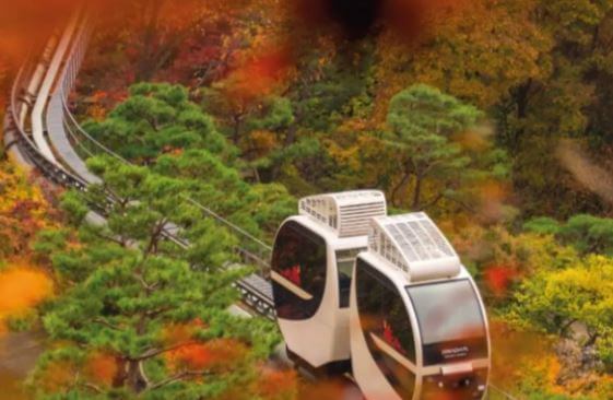 화담숲 가을 모노레일 체험