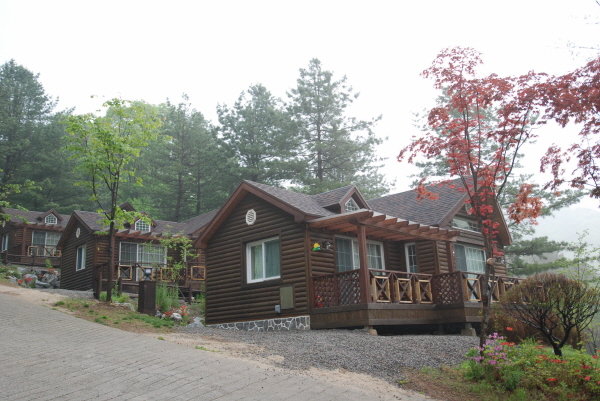 강씨봉 자연휴양림