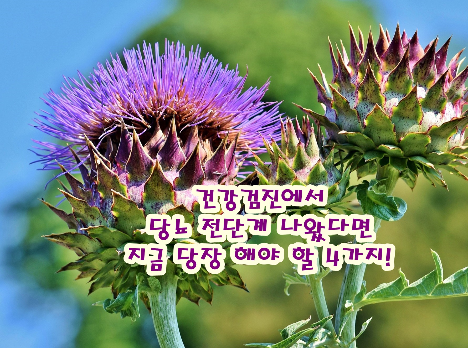건강검진에서 당뇨 전단계 나왔다면 지금 당장 해야 할 4가지!