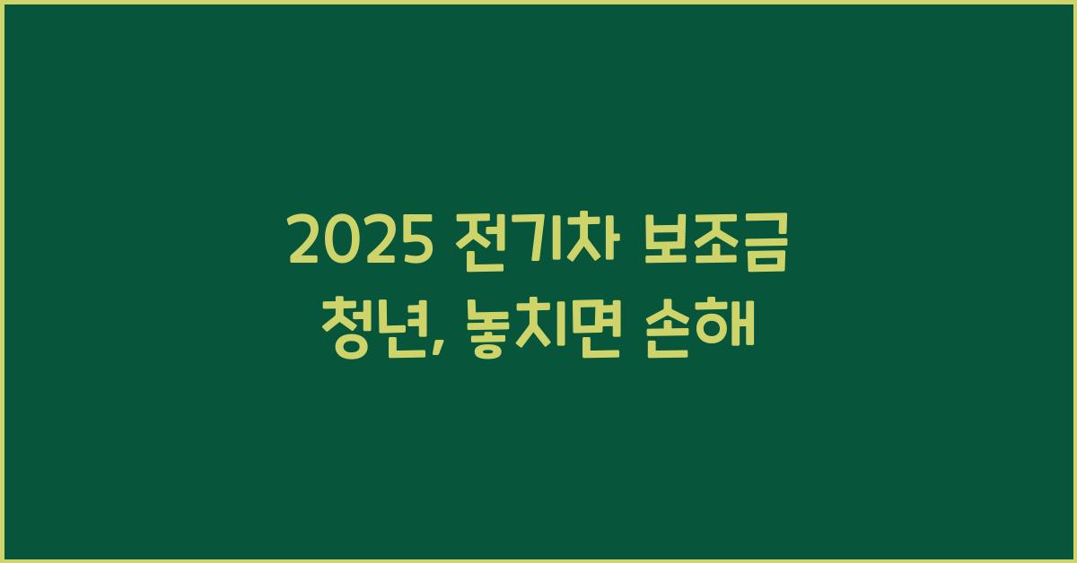 2025 전기차 보조금 청년