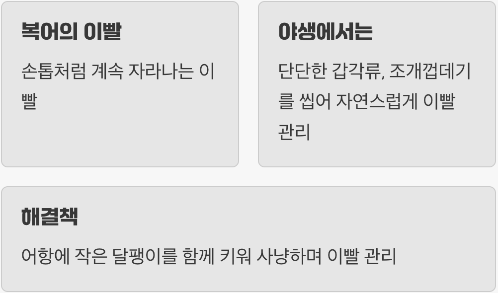 실수 5: '이빨 관리'의 중요성을 모르는 것