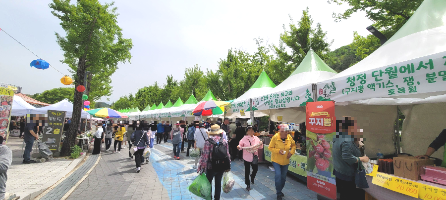 양평 용문산 산나물 축제장 입구