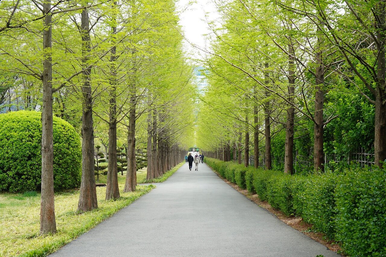 도시 속 조용한 산책코스 도시에서 조용한 산책길을 고르는 기준 7가지