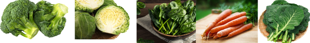 폐암에 좋은 야채