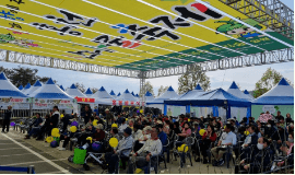 홍천 산나물 축제