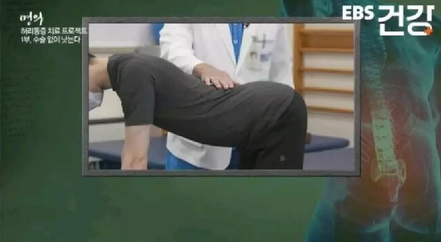 허리통증 운동 고양이자세