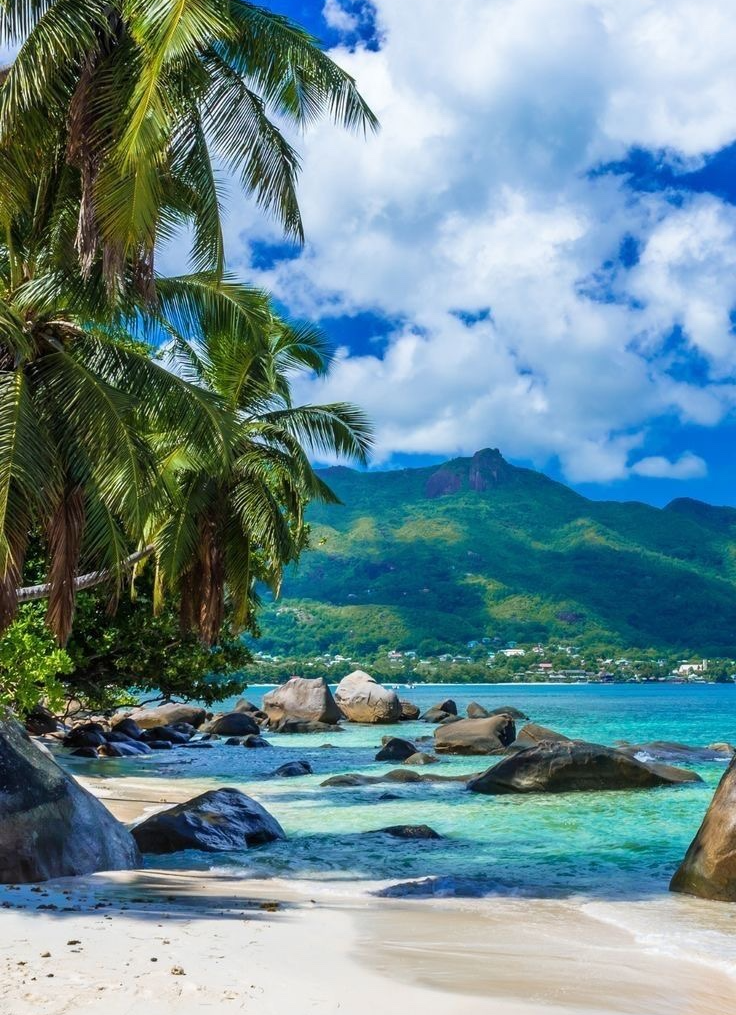 필리핀 세부 여행 관련 사진