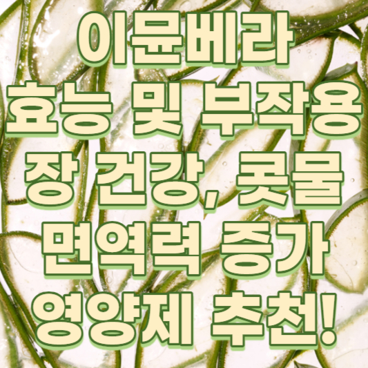 이뮨베라