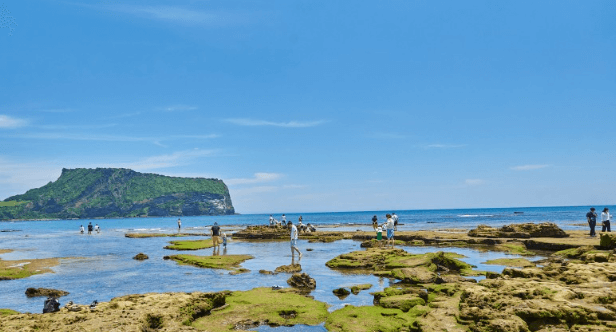 제주도-여행코스-2박3일