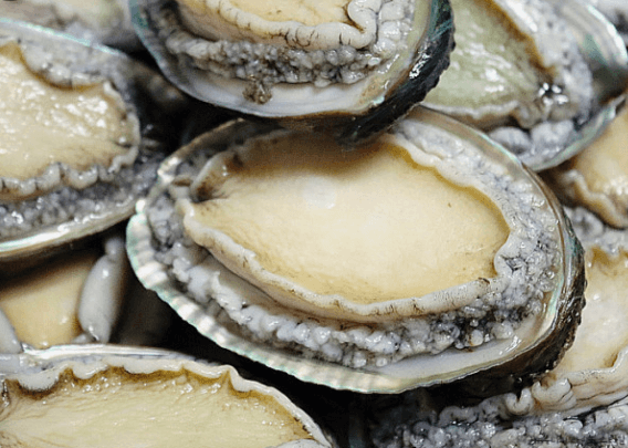 전복죽 끓이는법 (만들기 레시피 끓이기) 전복 효능