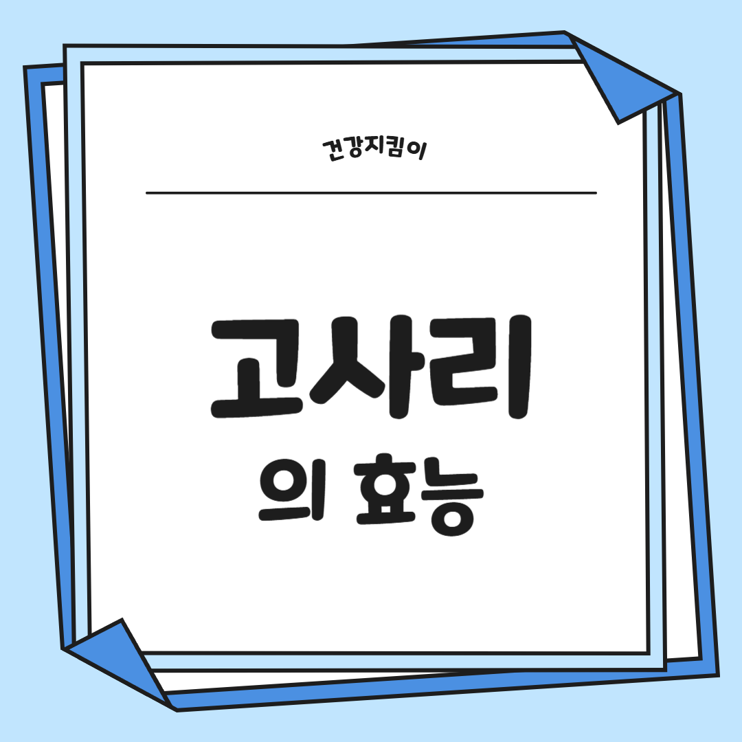 고사리 효능과 부작용 고르는법 칼로리