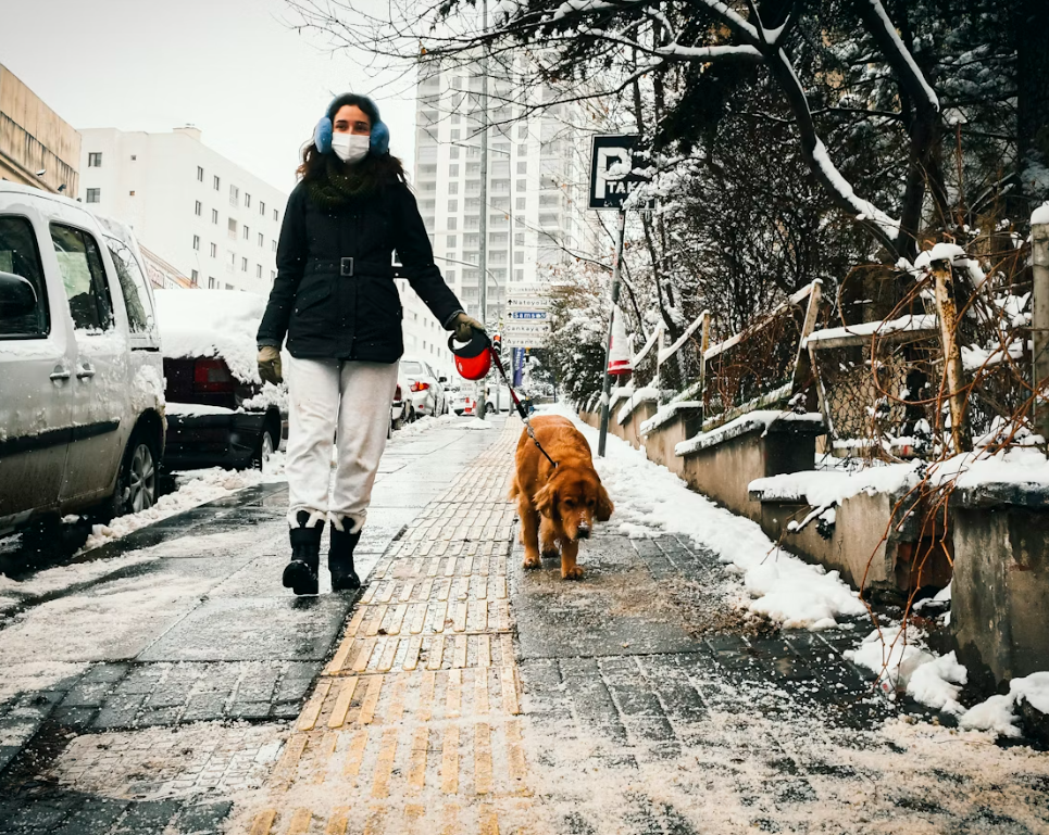 겨울 산책