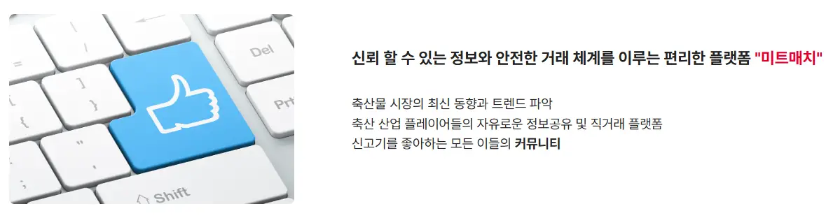 미트매치