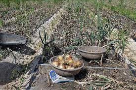 손해평가사 시험과목, 시험일정, 합격률, 전망