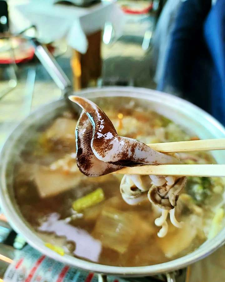 6시내고향 홍성 남당항 새조개 샤부샤부 전국 택배 주문 구매 가능 쭈꾸미 해산물 맛집 오늘 방송 추천 