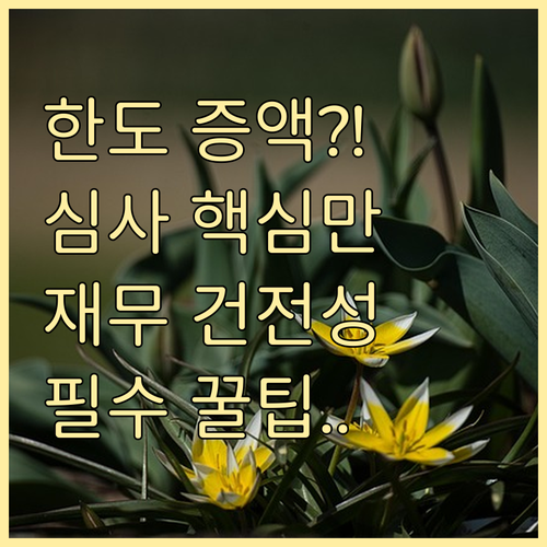 법인카드 한도 증액 심사 핵심 기준 ..