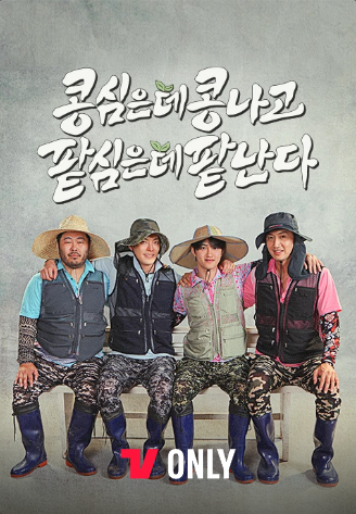 TVN 콩콩팥팥
