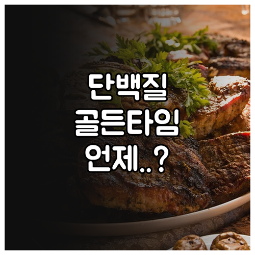 단백질 쉐이크 섭취 골든타임과 하루 ..