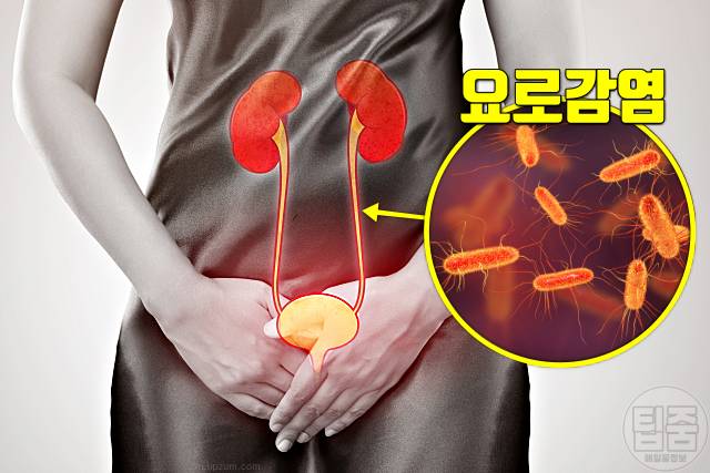 소변이 새요 요실금 원인 요로감염