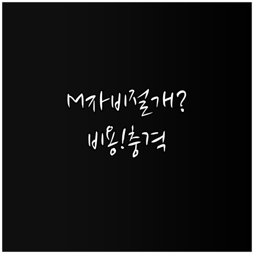 M자 탈모 비절개 모발이식 후기와 비..