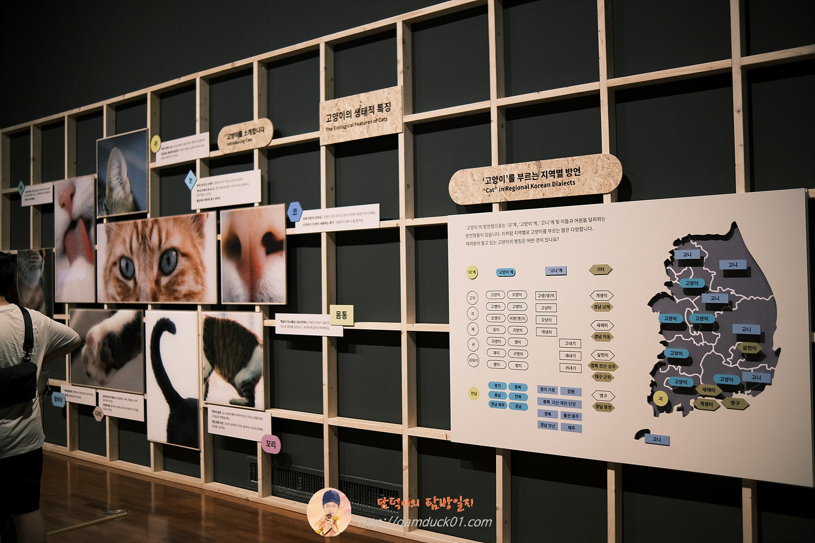 귀엽고 요망한 고양이