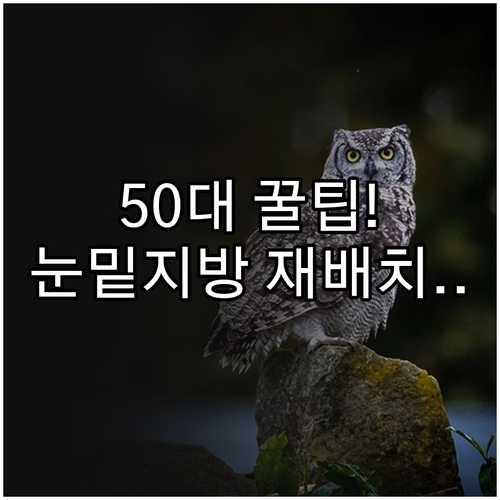 50대 눈밑지방재배치 수술 방법과 회..