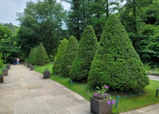 제이드가든_내부