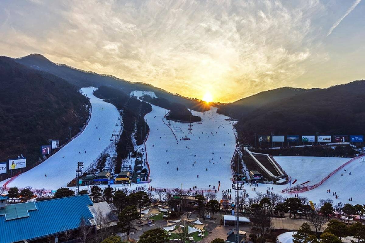 2025-2026 곤지암 리조트 스키장 시즌권 렌탈 할인 완벽 가이드 