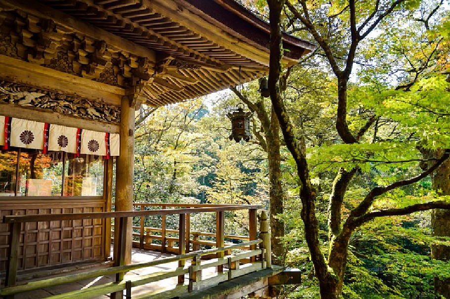 일본 규수 사진