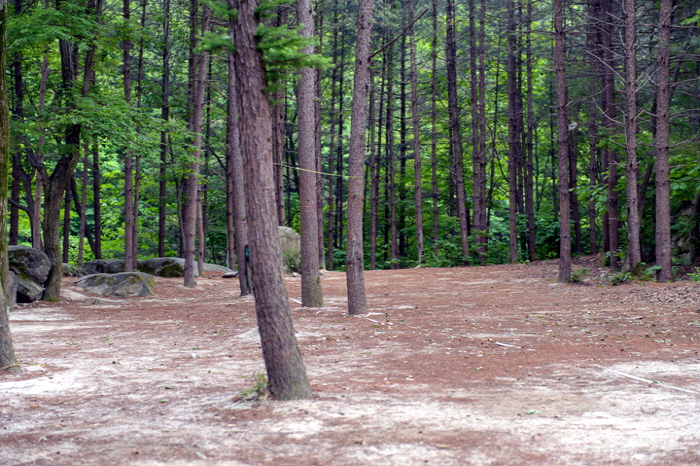 주은 자연휴양림 캠핑장