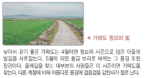 가파도 청보리 축제