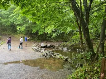 걷기 좋은 명품 숲길 50선 전국 서울 경기_6