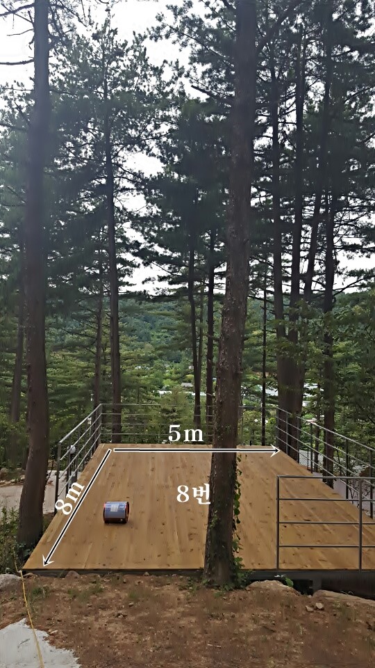 나무새캠핑장 (애견동반가능)