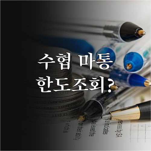 수협은행 마이너스통장 개설 조건 및 ..