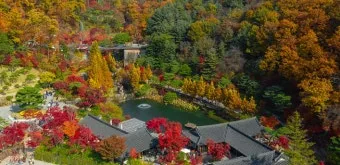 화담숲 예약하기 화담채 예약으로 절차정리_38