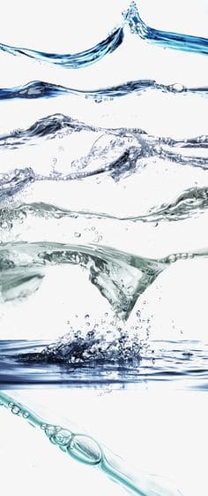 간헐적 단식 물