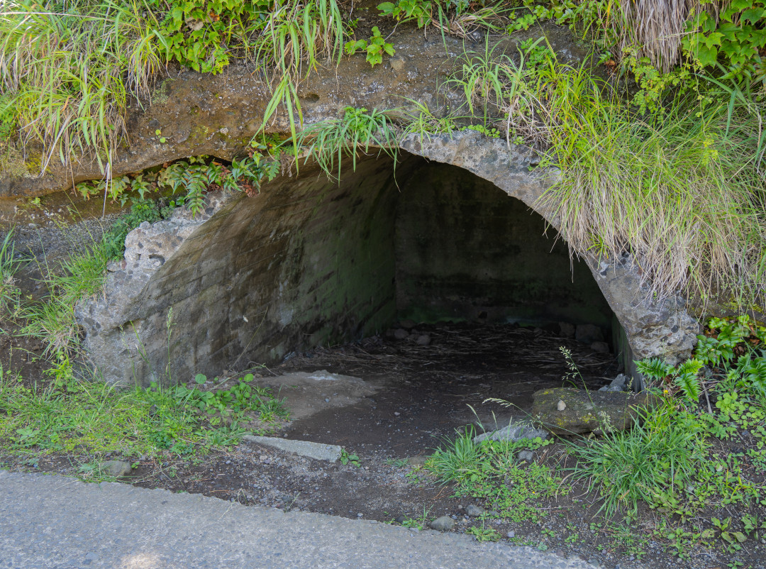 송악산 다트투어리즘