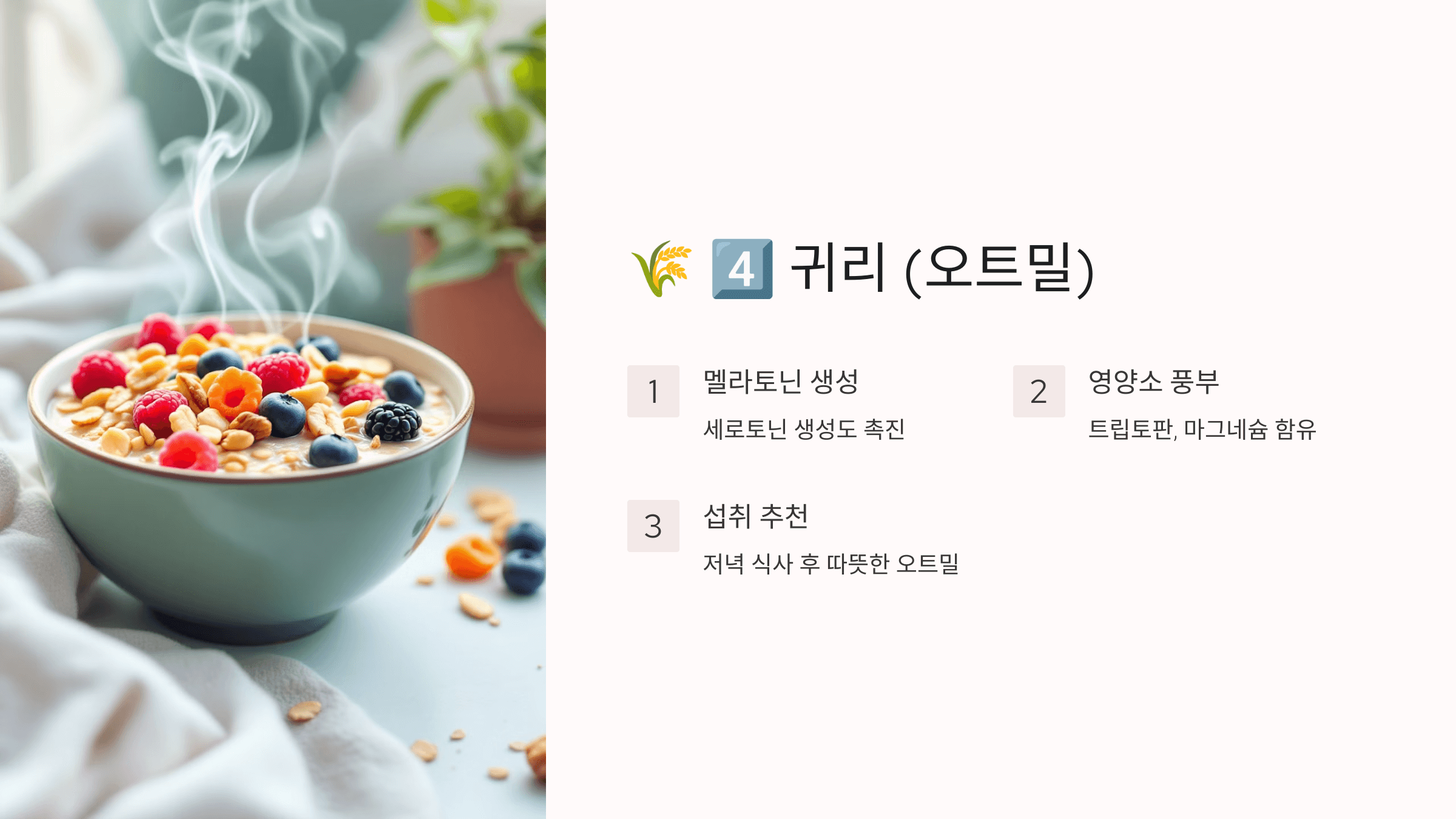 멜라토닌과 관련된 사진입니다.