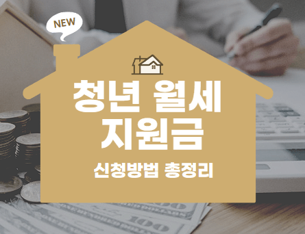 총정리 사진