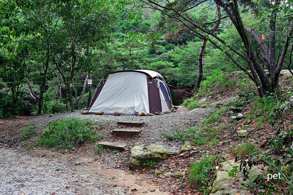 곡성-꿈꾸는캠핑장 