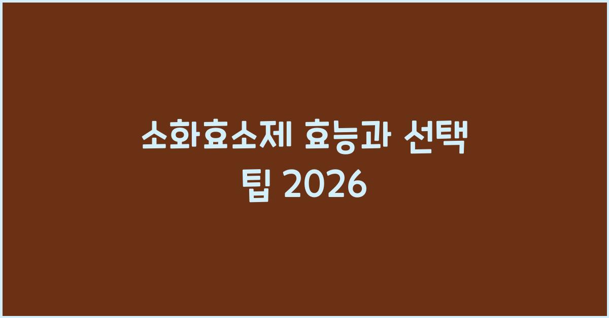 소화효소제