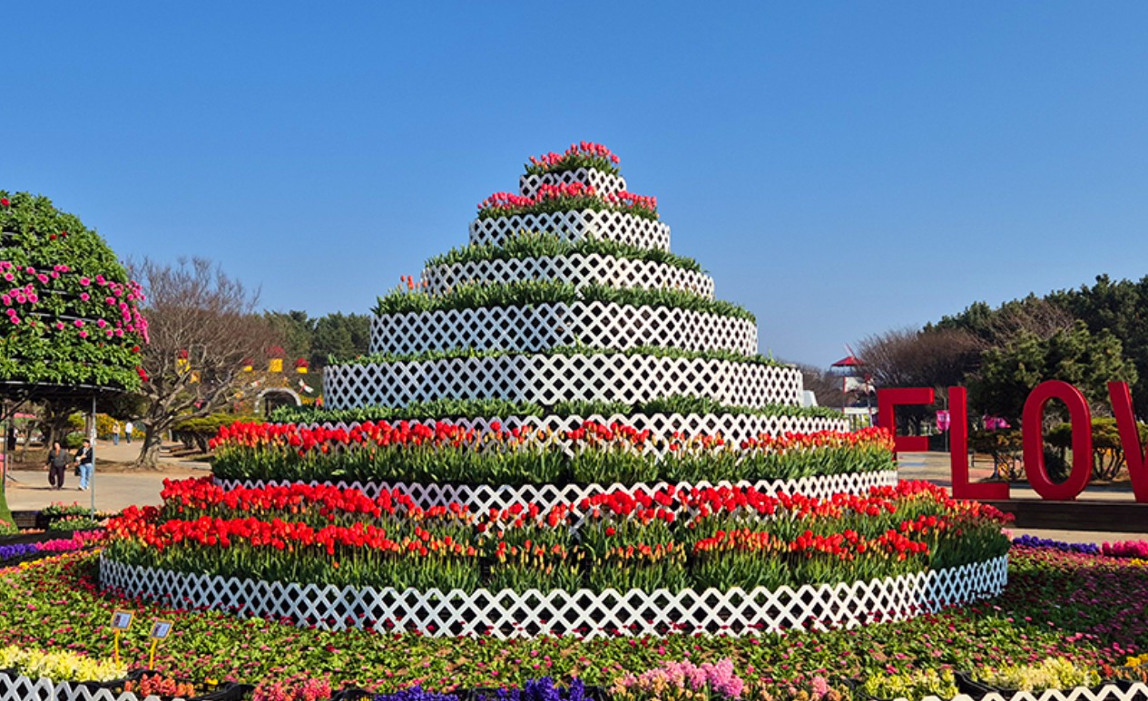 2025 태안 세계튤립꽃박람회