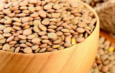 렌틸콩과 껍질 이미지