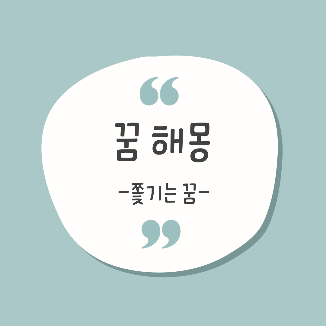 쫒기는 꿈 해몽