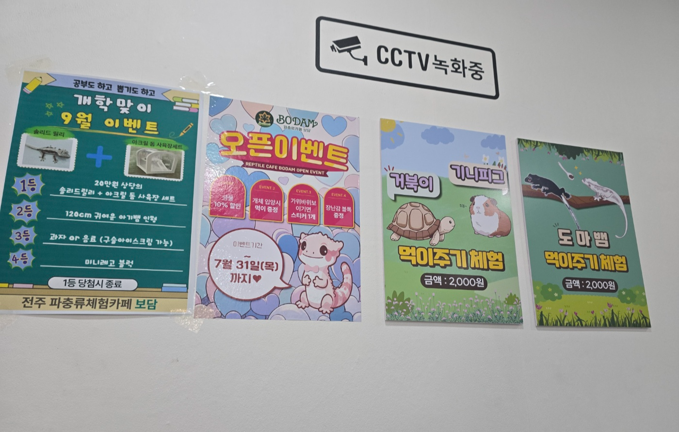 벽면 이벤트 안내문